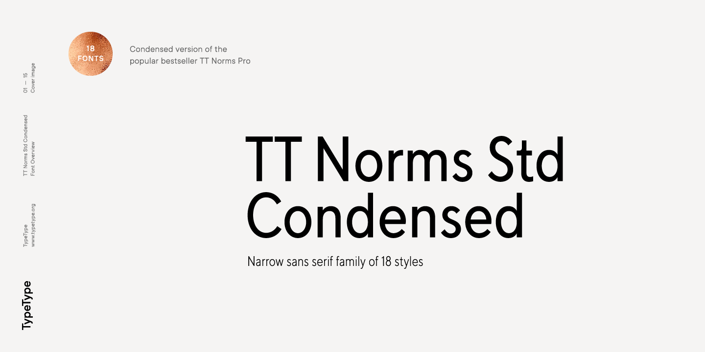TT Norms Std Condensed Light Italic Font