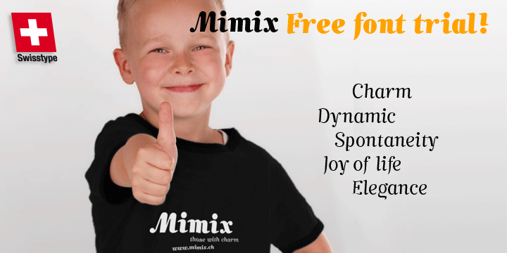 Mimix Light Font